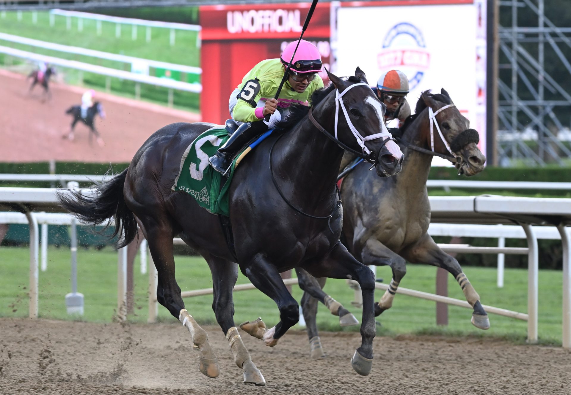 Wondrwherecraigis (Munnings) Winning The Tale Of The Cat Stakes at Saratoga