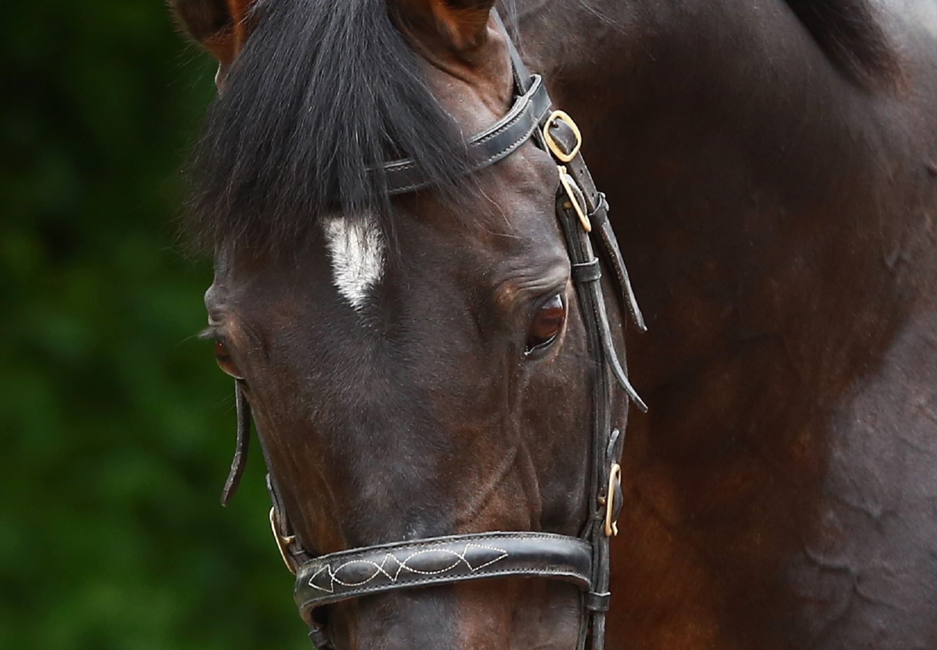 Yeats head shot