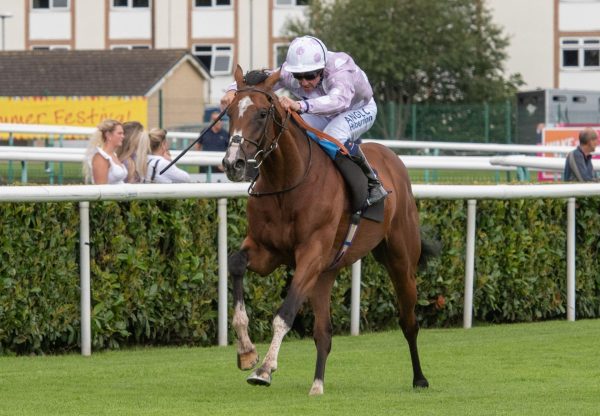 War Rooms (Churchill) wins at Doncaster