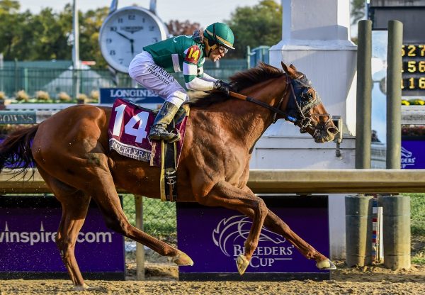 Accelerate (Lookin At Lucky) winning the G1 Breeders Cup Classic at Churchill Downs