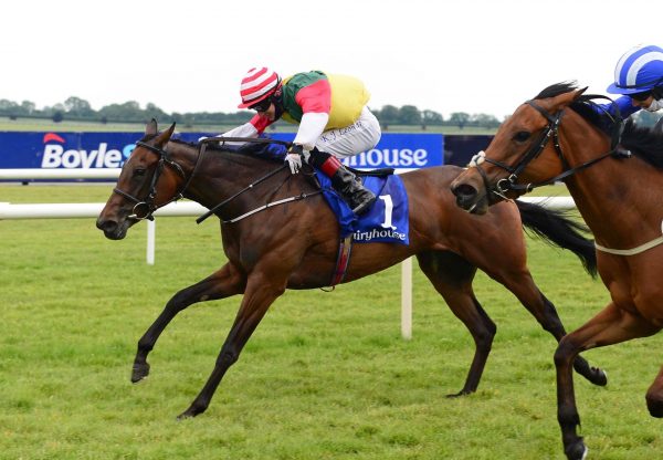 Acquiescent (Footstepsinthesand) Wins At Fairyhouse