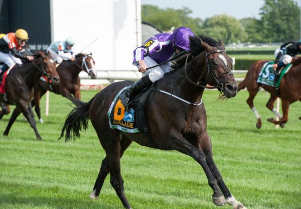 Adelaide winning the Secretariat Stakes