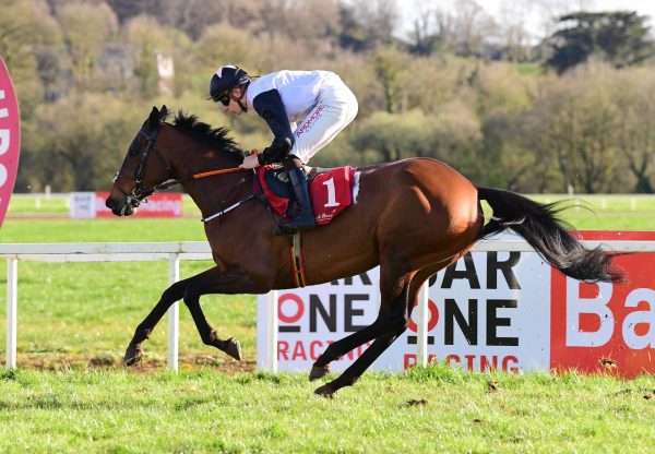 Air Of Entitlement (Westerner) Wins The Mares P2P Flat Race At Cork