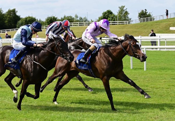 All Things Nice (Sioux Nation) Wins At The Curragh