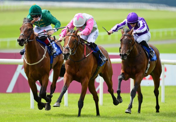 Aloha Star (Starspangledbanner) winning the Gr.2 Airlie Stud Stakes at the Curragh