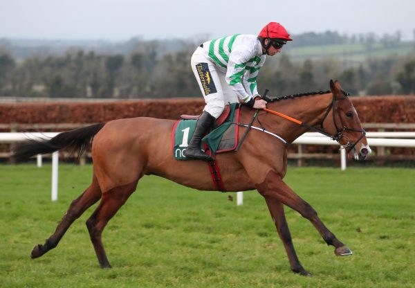 American Mike (Mahler) Lands The Listed Future Champions Bumper At Navan