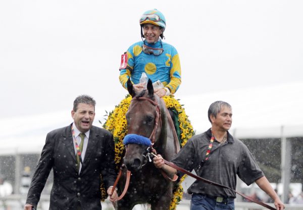 American Pharoah After Winning The Preakness Stakes At Pimlico