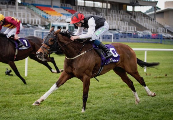 Amma Grace (Galileo) Wins The Listed Trigo Stakes at Leopardstown