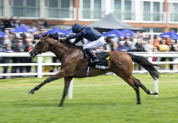 Anthony  Van  Dyck Leads Home 1 2 For  Galileo In  Derby  Trial
