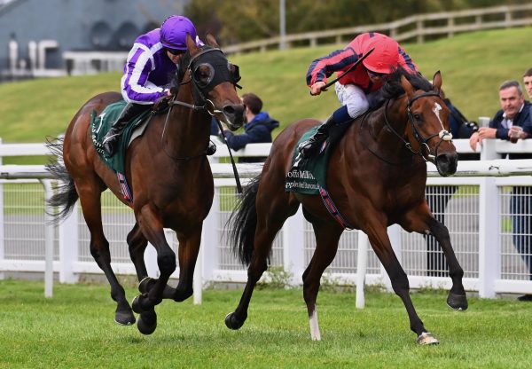 Apples And Bananas (Wootton Bassett) Wins The Goffs Million