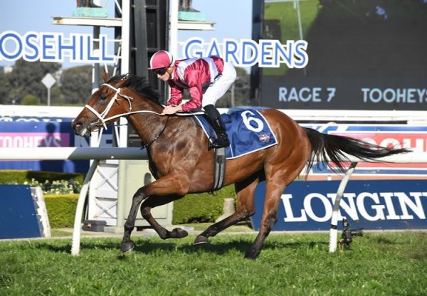 Arcadia Queen (Pierro) winning the Gr.2 Theo Marks Stakes at Rosehill