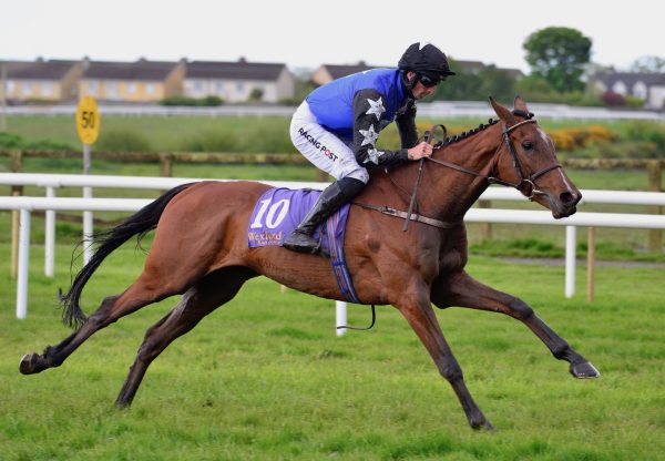 Ashroe Diamond (Walk In The Park) Impresses On Debut At Wexford