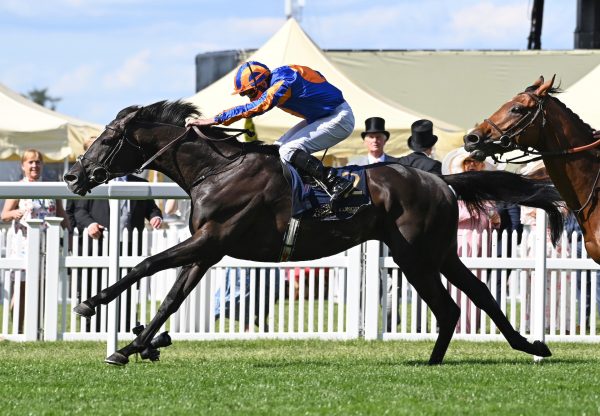 Auguste Rodin (Deep Impact) Wins The Group 1 Prince Of Waless Stakes At Royal Ascot