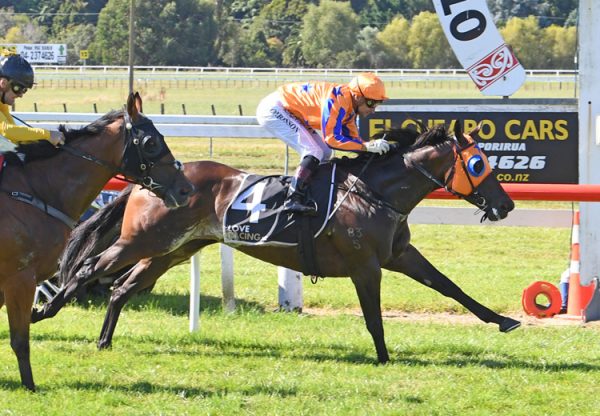 Avantage (Fastnet Rock) wins the Gr.1 Weight-For-Age Classic at Otaki
