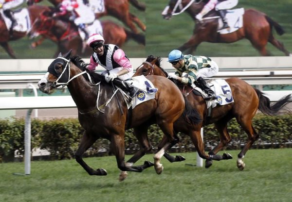 Beauty Only (Holy Roman Emperor) winning the Gr.2 Chairmans Trophy at Sha Tin