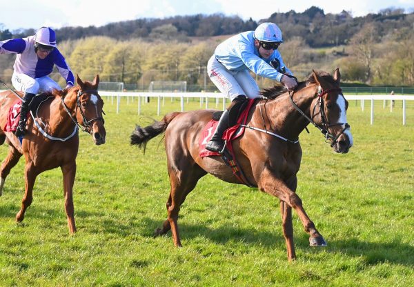Backmersackme (Getaway) Wins Point To Point Flat Race At Cork