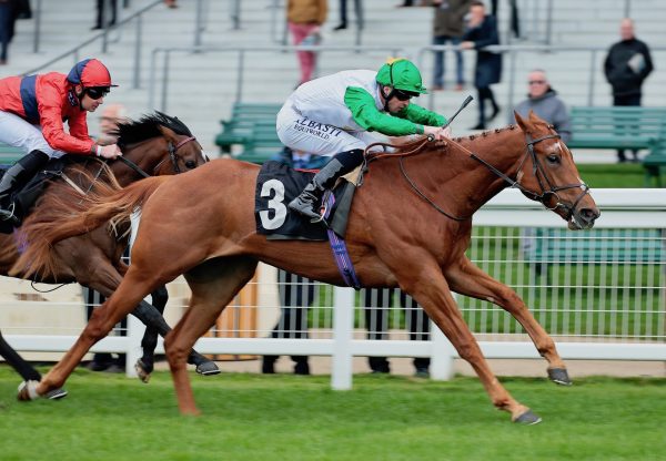 Bakeel (Sioux Nation) Makes A Winning Debut In The Royal Ascot Trial