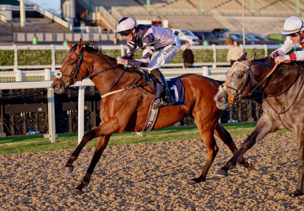 Barefoot Warrior (Saxon Warrior) Wins At Newcastle