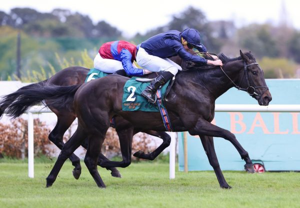 Battle Cry (No Nay Never) Wins Group 3 Red Rocks Stakes At Leopardstown