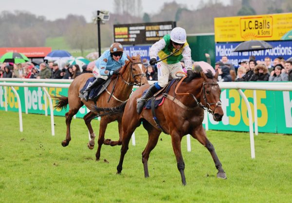 Below The Radar (Getaway) Wins The Novices Hurdle At Uttoxeter