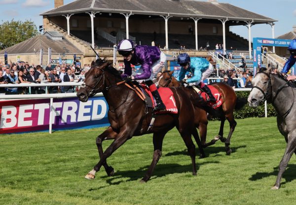 Benevento Wins The Listed Flying Scotsman Stakes