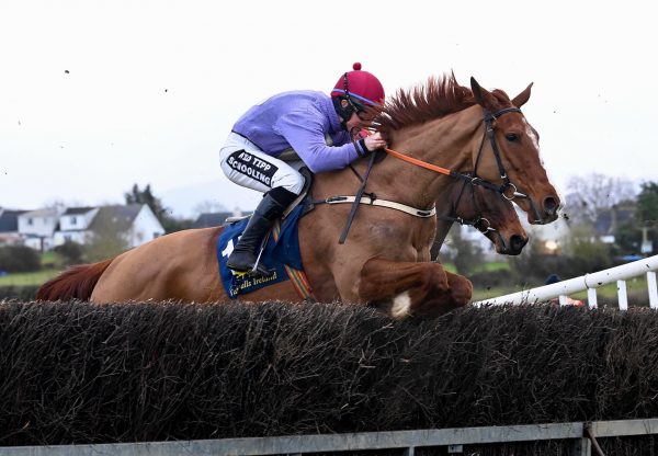 Big Cadillac (Soldier Of Fortune) Wins At Nenagh PTP