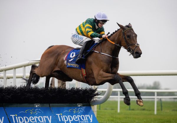 Birdie Or Bust (Walk In The Park) Wins The Mares Maiden Hurdle At Tipperary