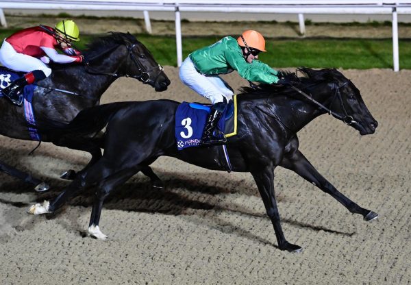 Black Storm (Ten Sovereigns) Wins His Maiden At Dundalk