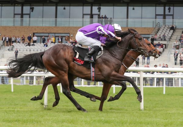 Blackbeard (No Nay Never) Wins The Listed First Flier Stakes at the Curragh