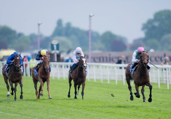 Bluestocking (Camelot) Wins Group 2 Midleton Fillies Stakes At York