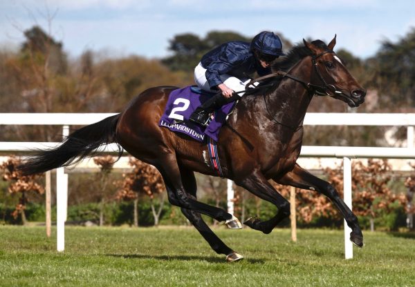 Bolshoi Ballet (Galileo) Wins The Group 3 Ballysax Stakes at Leopardstown