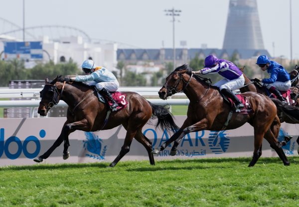 Brave Emperor (Sioux Nation) Wins The Group 2 Irish Thoroughbred Marketing Cup At Doha