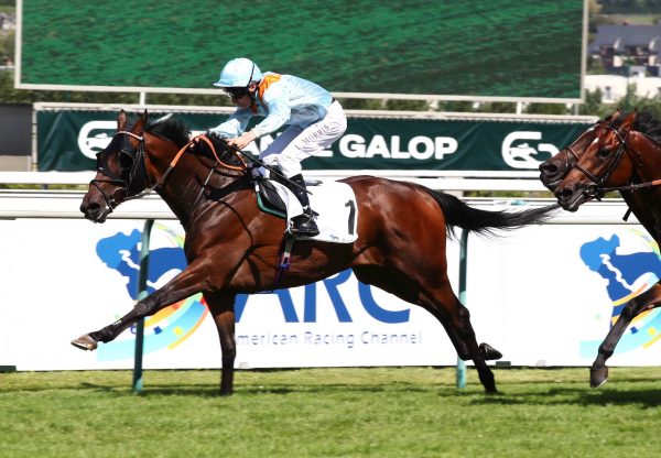 Brave Emperor (Sioux Nation) Wins The Group 3 Prix Daphnis at Deauville