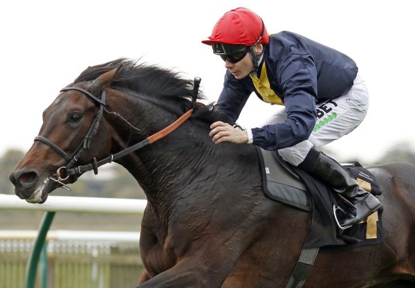 Brentford Hope (Camelot) winning his maiden on debut at Newmarket