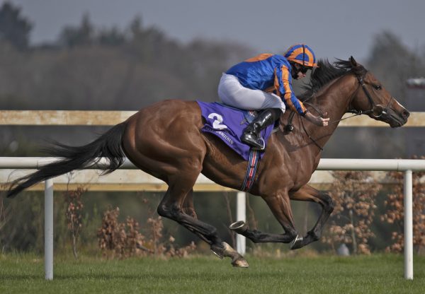 Broome (Australia) winning the G3 Ballysax Stakes at Leopardstown