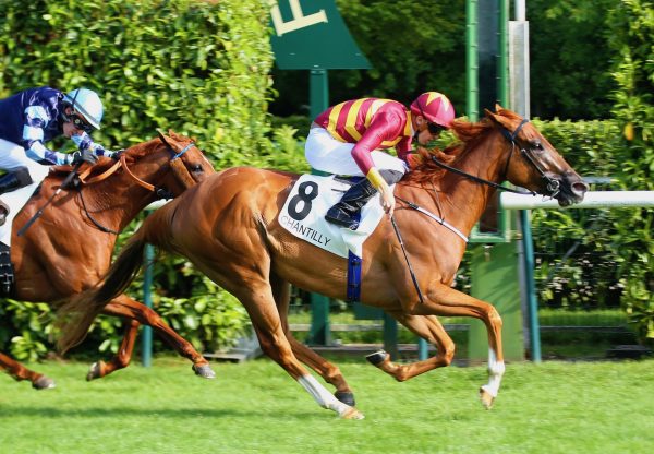 Brostaigh (Footstepsinthesand) Wins The Group 2 Prix Du Gros Chene at Chantilly