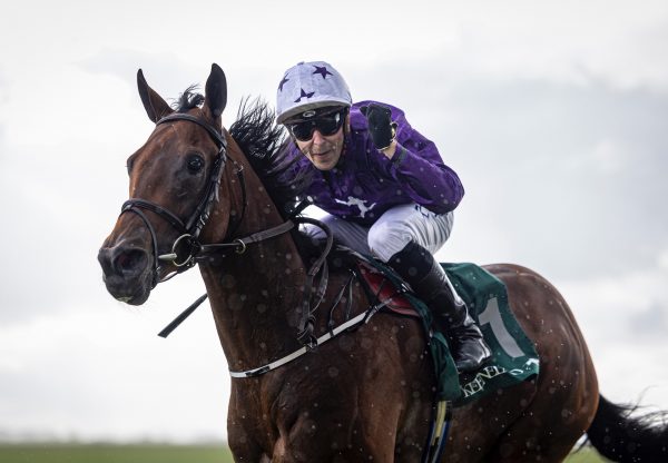 Bucanero Fuerte (Wootton Bassett) Wins The Group 1 Phoenix Stakes at the Curragh