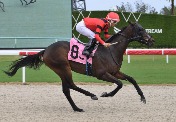 Bugged Out (Echo Town) Wins Gulfstream Maiden