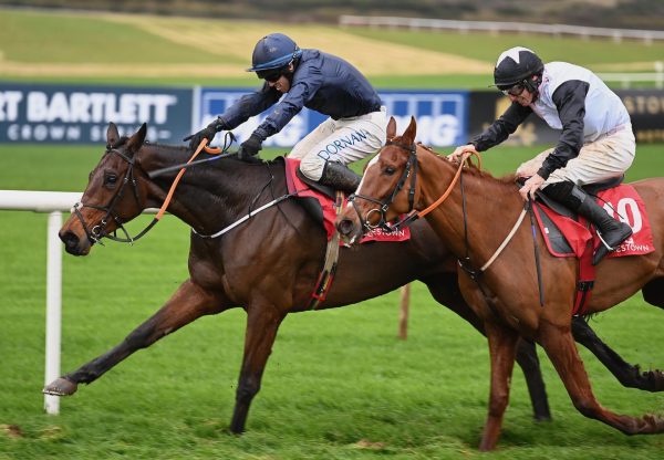 Butch Cassidy Wins The Maiden Hurdle At Punchestown