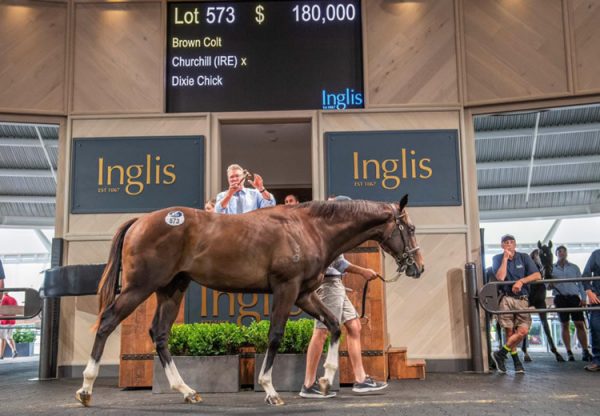 Churchill X Dixiecick yearling colt selling for $180,000 at the Inglis Classic Yearling Sale