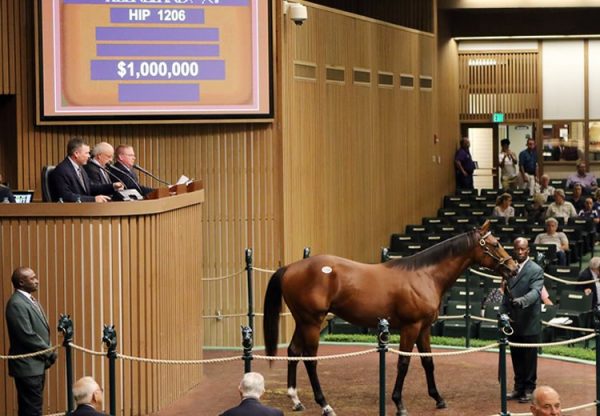 Uncle Mo ex Sweet Bliss yearling colt selling for $1 million at Keeneland