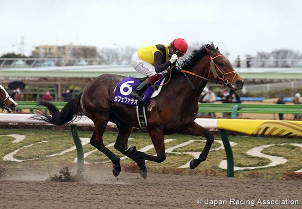 Cafe Pharoah (American Pharoah) winning the 2022 Gr.1 February Stakes in Tokyo