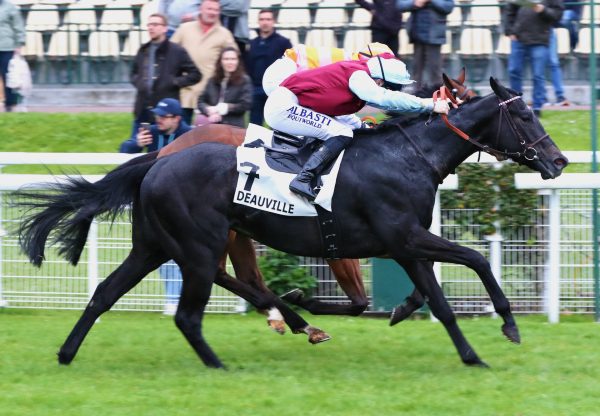 Calypso King (Calyx) Wins His Maiden At Deauville