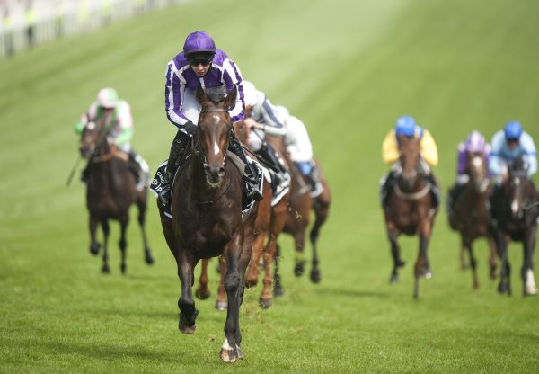 Camelot Epsom Derby