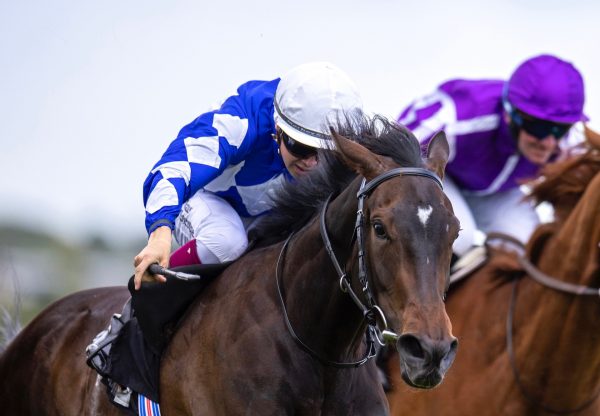 Caroline Street (No Nay Never) Wins The Group 3 Blue Wind Stakes at Leopardstown
