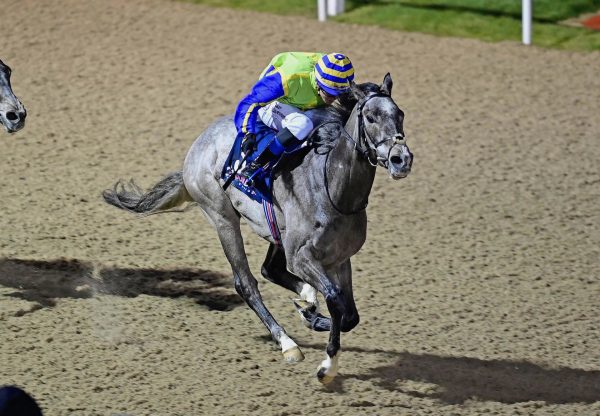Cash Out (No Nay Never) Wins His Maiden At Dundalk