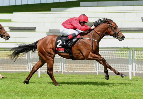 Castle Star (Starspangledbanner) Wins The Group 3 Marble Hill Stakes At The Curragh