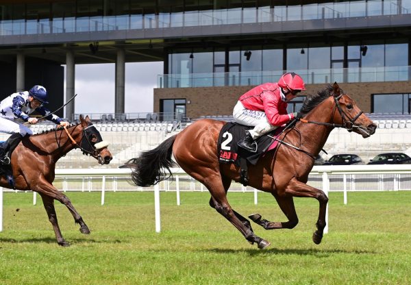 Castle Star (Starspangledbanner) Wins The Listed First Flier Stakes At The Curragh