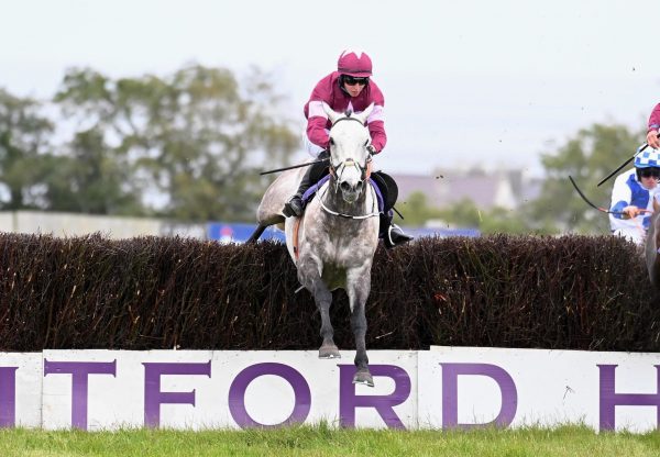 Cavalry Master (Milan) Wins The Novices Chase At Wexford