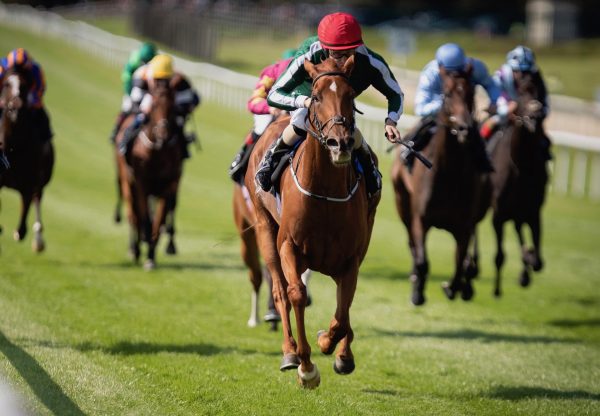 Cayenne Pepper (Australia) Wins The Gr.2 Blandford Stakes at the Curragh